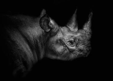 Rhino dreams - Limited Edition of 12 thumb