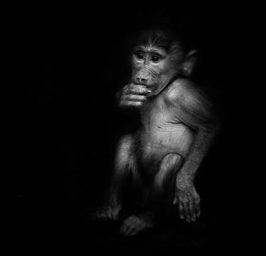 Original Conceptual Animal Photography by Yevhen Samuchenko