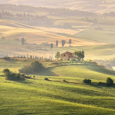 Original Fine Art Garden Photography by Yevhen Samuchenko