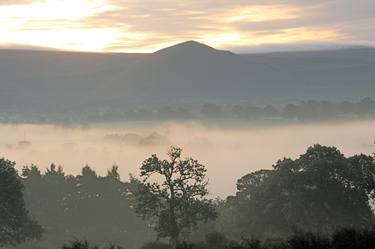 September Dawn . Eden Valley - Limited Edition of 10 thumb
