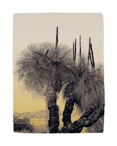 Grass Tree 1 - Limited Edition of 20 thumb