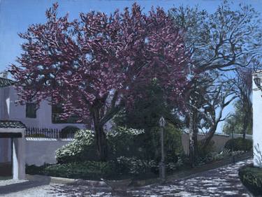 Cherry Blossom, Plaza de Toros, Ronda thumb
