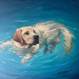 Collection Compassion, Intuition, Depth: Water Signs