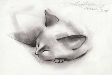 Original Figurative Cats Drawings by Anastasia Terskih