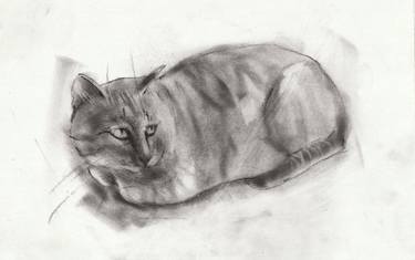 Original Abstract Animal Drawings by Anastasia Terskih