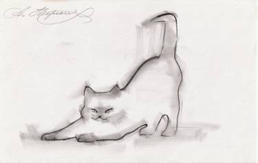Original Abstract Cats Drawings by Anastasia Terskih