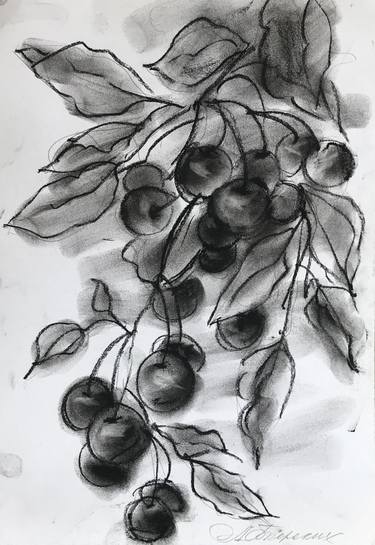 Print of Fine Art Nature Drawings by Anastasia Terskih