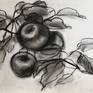 Collection Charcoal drawings