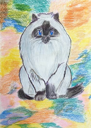Print of Abstract Cats Drawings by Anastasia Terskih
