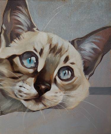 Original oil painting on canvas Portrait of a Siamese cat thumb