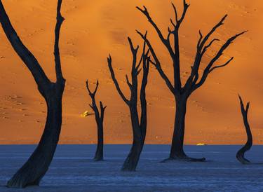 Sunrise at Deadvlei - Namibia - Limited Edition of 25 thumb