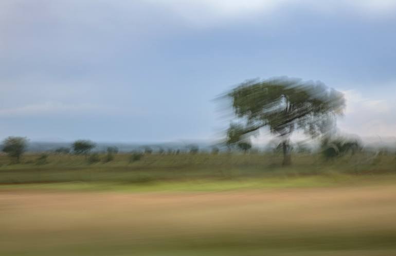 Africa Landscape 1 - Limited Edition of 30