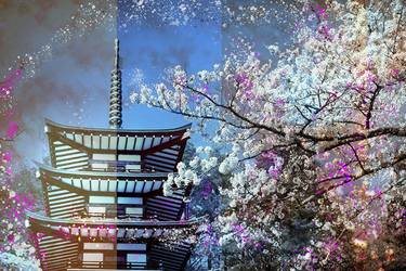 Cherry Blossom in Japan - Limited Edition of 15 thumb
