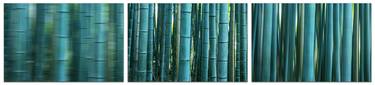 Bamboo Forest Trilogy - Limited Edition of 25 thumb