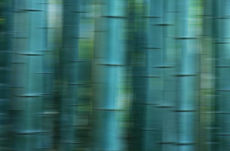 Original Conceptual Abstract Photography by Gary Schmid