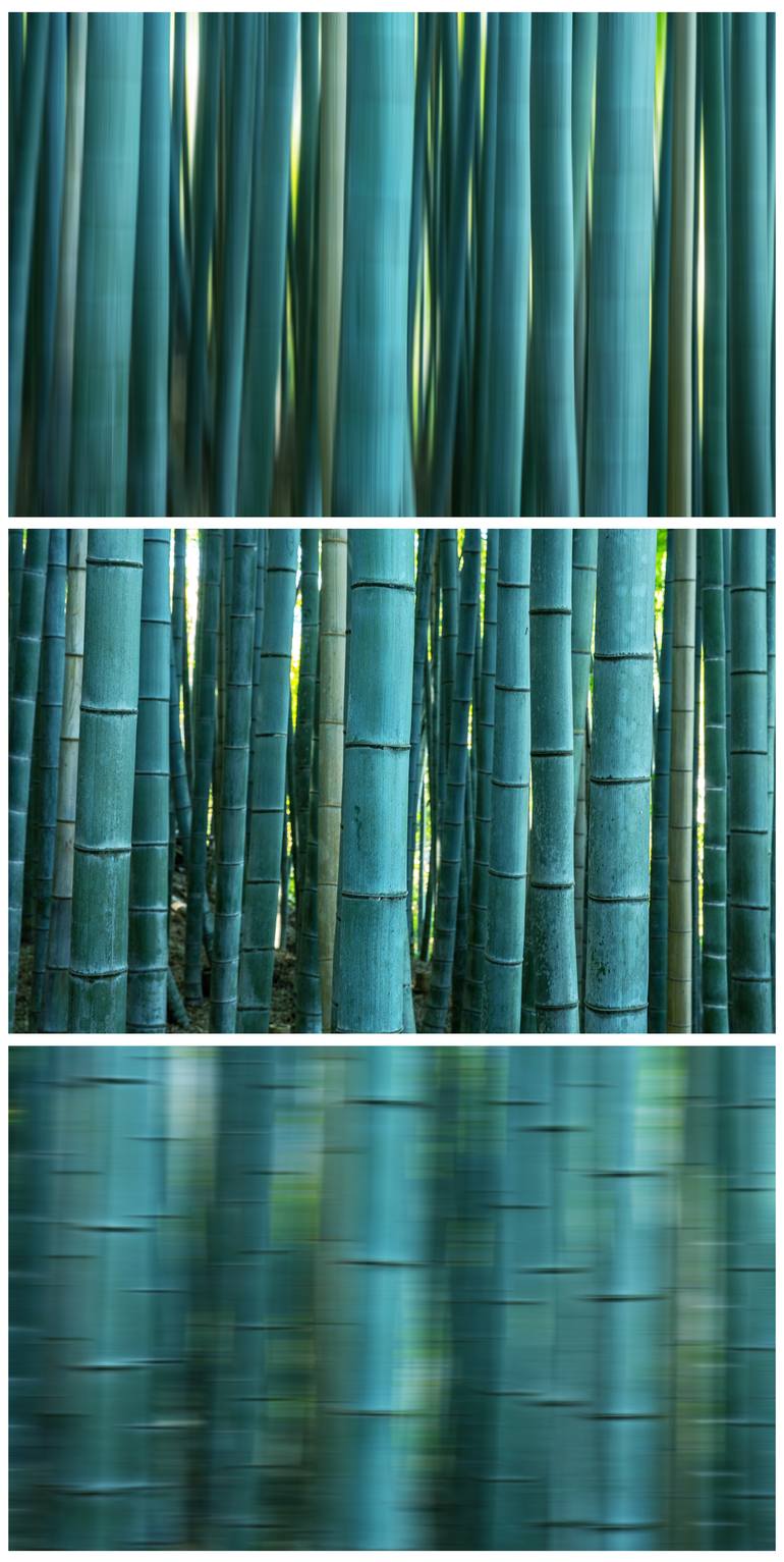 Original Conceptual Abstract Photography by Gary Schmid