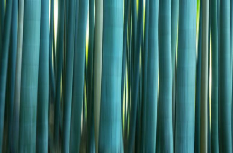 Original Abstract Photography by Gary Schmid