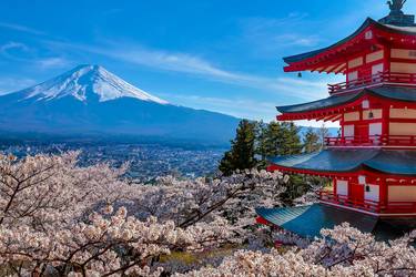 Cherry Blossom at Mt Fuji - Limited Edition of 50 thumb