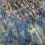 Company Gardens 3 by Claudia Bormann - Karsten