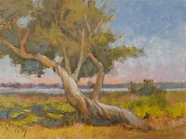 Original Impressionism Landscape Paintings by Mary Hubley