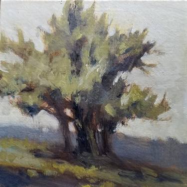 Original Impressionism Tree Paintings by Mary Hubley