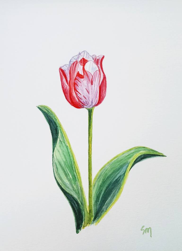 Tulip Painting