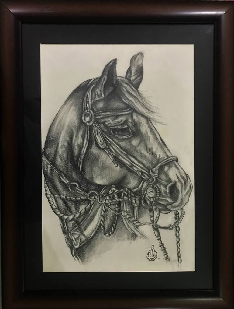 Original Realism Horse Drawing by Haider Ali Tiwana