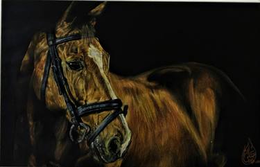 Original Fine Art Horse Paintings by Haider Ali Tiwana