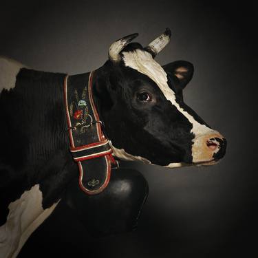 Icon or just cattle - Cow Portraits Holstein - Limited Edition of 10 thumb