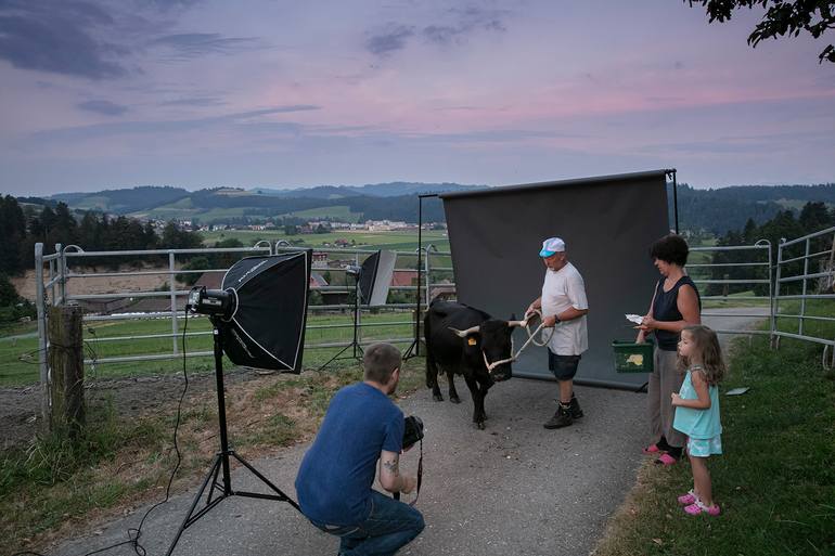 Original Folk Animal Photography by Marco Felix