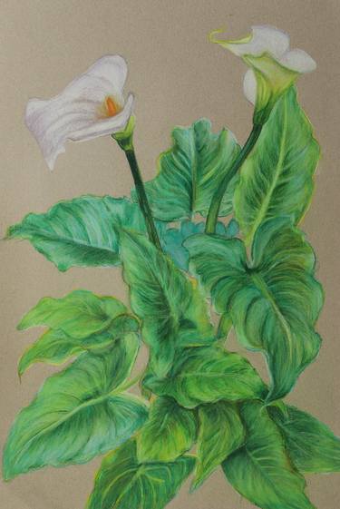 Print of Realism Floral Drawings by Liliya Kara