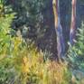 Fragment 5