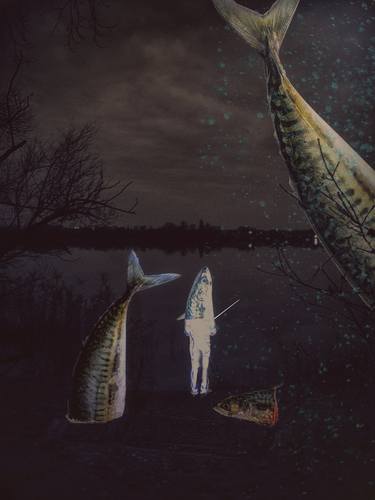 Print of Conceptual Fish Photography by Francesco Majo