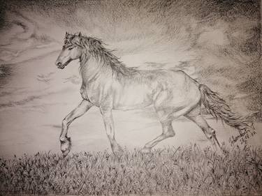 Print of Fine Art Horse Drawings by Jagoda Jovanovic