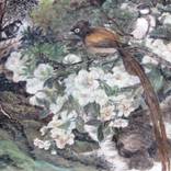Three birds perching among the pear blossoms by Wong Tszmei