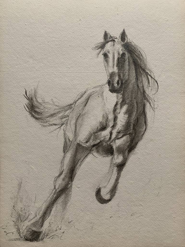 pencil drawing of running horse