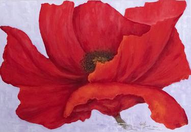 Red Poppy. Flowers. Inspired by Georgia O'keeffe thumb