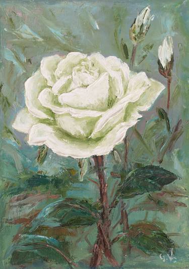 White rose. thumb