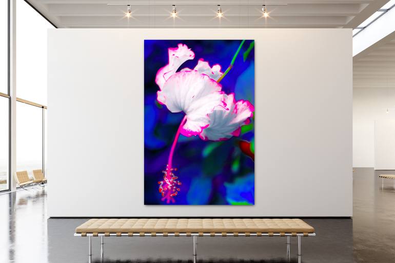 Original Photorealism Nature Photography by Steven Simpson