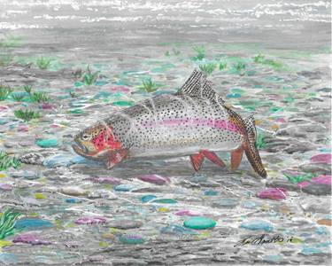 Original Realism Fish Paintings by Lee Garrett