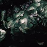 The Petri Dish Project - Matter is Soft (manifest 02) by JD Doria