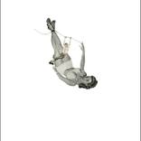 ...On A String by Allie Ellis