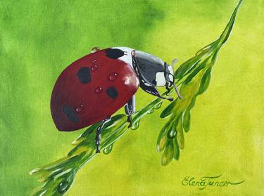 ''Natural Serenity'' Oil Painting on Canvas, Red Ladybug on Dew Plant thumb