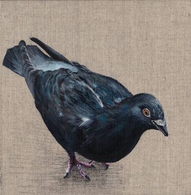 Original Animal Paintings by Robin Pugh