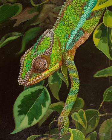 Chameleon portrait oil painting thumb