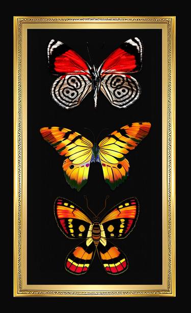 Butterflies Wall decoration wall paintings for interior Insects 2 thumb