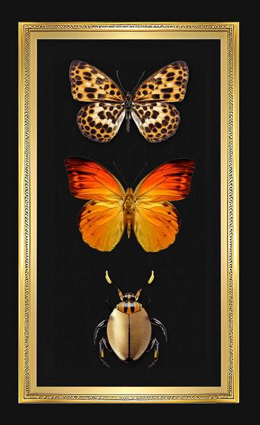 Butterflies Insects Wall decoration paintings for interior 6 thumb