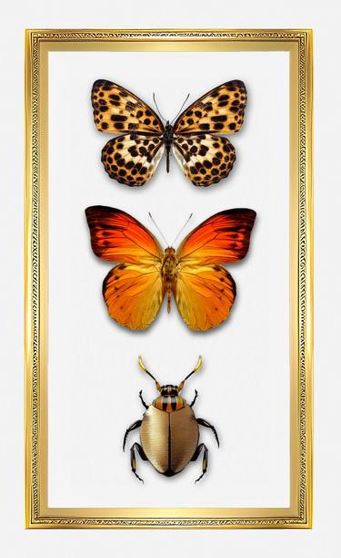 Butterflies Insects Wall decoration wall paintings for interior 7 thumb