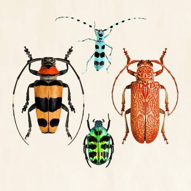 Bugs Insects nature Wall decoration 3 thumb