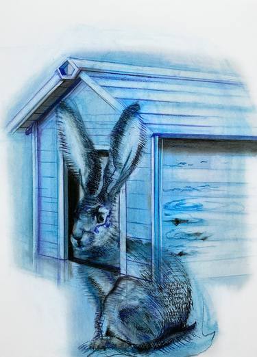 La casa del coniglio thumb